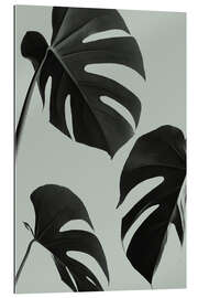 Gallery print Monstera leaves