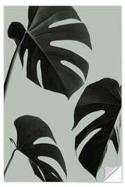 Wall sticker Monstera leaves