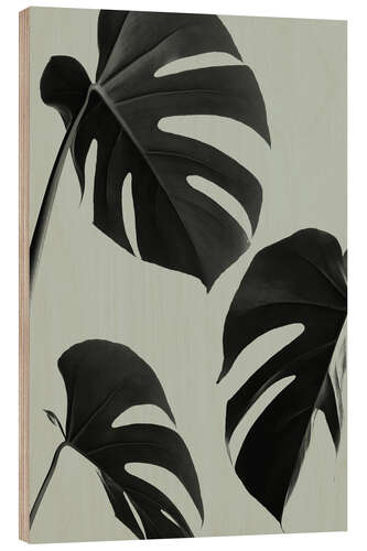 Quadro de madeira Folhas de monstera