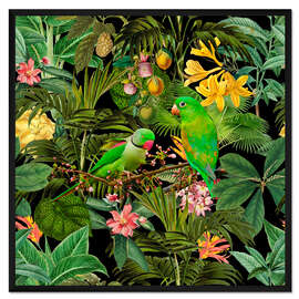 Gerahmter Kunstdruck Grüne Sittiche Dschungelparadies