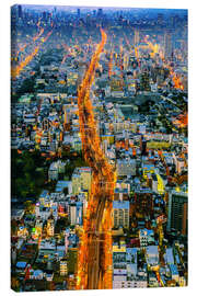 Lærredsbillede City highway through Osaka at twilight