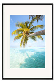 Gerahmter Kunstdruck Palme und Meer