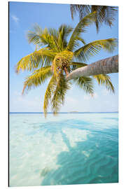 Magnettafel Palme und Meer