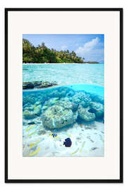 Gerahmter Kunstdruck Im Meer der Malediven