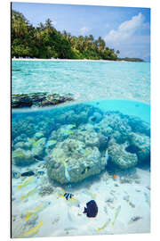 Magnettafel Im Meer der Malediven