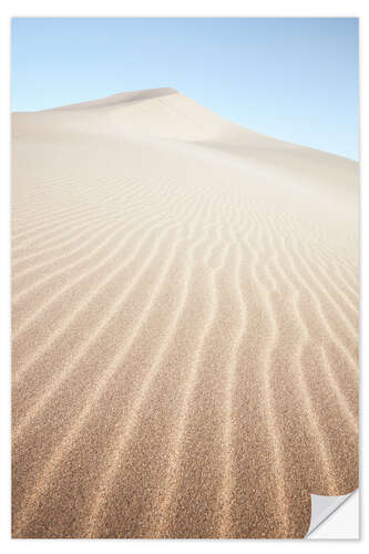 Selvklebende plakat In the desert