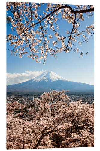 Acrylic print Springtime at Mount Fuji, Japan