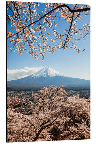 Aluminium print Springtime at Mount Fuji, Japan