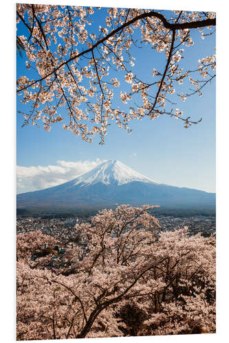 Print på skumplade Springtime at Mount Fuji, Japan