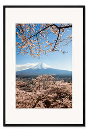 Gerahmter Kunstdruck Frühling am Mount Fuji, Japan