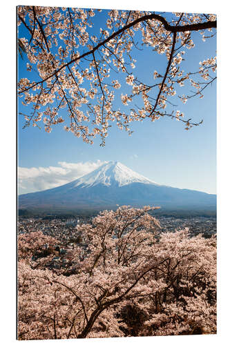 Stampa su plexi-alluminio Primavera al Monte Fuji, Giappone