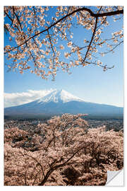 Selvklæbende plakat Springtime at Mount Fuji, Japan