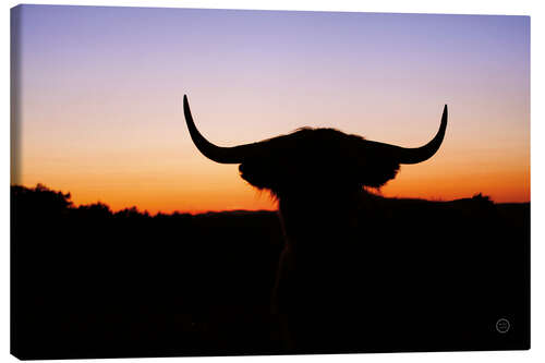 Obraz na płótnie Bull silhouette in the sunset