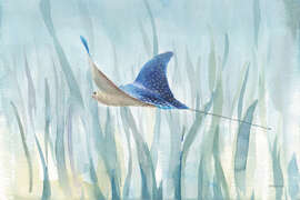 Magnettafel Wasserrochen in Aquarell