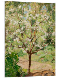 Foam board print Blooming apple tree