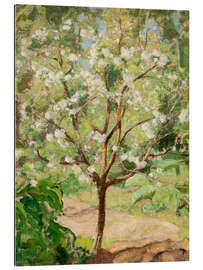 Quadro em plexi-alumínio Blooming apple tree