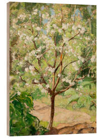 Wood print Blooming apple tree