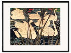 Gerahmter Kunstdruck Schwäne