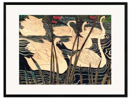 Innrammet kunsttrykk Swans
