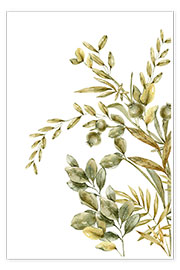 Tableau  Ensemble d&#039;illustrations botaniques - Dani Jay Designs