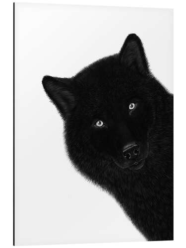 Aluminium print Black wolf