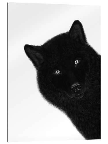 Gallery Print Schwarzer Wolf