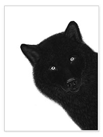 Poster Schwarzer Wolf
