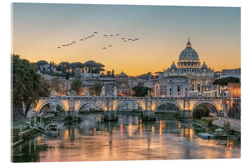 Acrylglas print Flock of birds over the Tiber, Rome