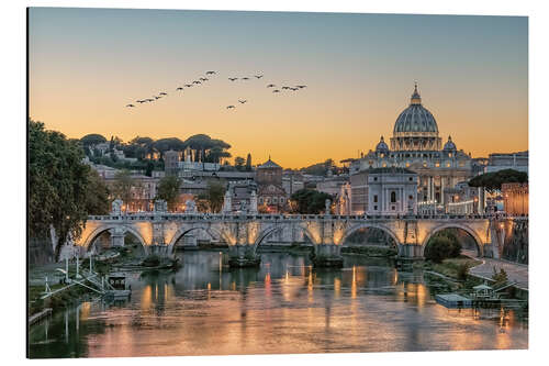 Tableau en aluminium Vol d'oiseaux sur le Tibre, Rome