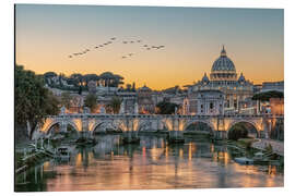 Magnettafel Vogelschwarm über dem Tiber, Rom