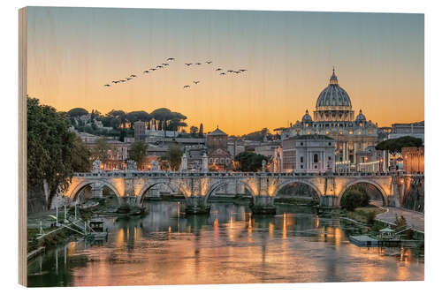 Trebilde Flock of birds over the Tiber, Rome