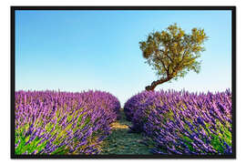 Gerahmter Kunstdruck Provence