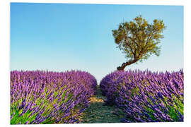 Foam board print Provence