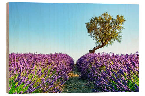 Wood print Provence