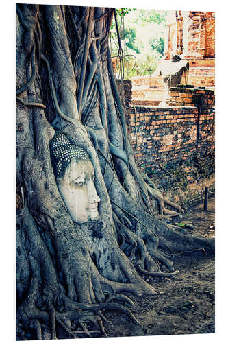 PVC-taulu Ayutthaya Head