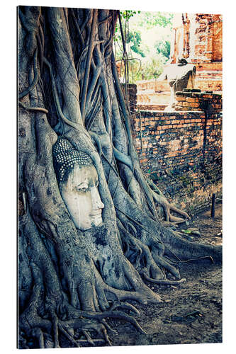 Gallery print Ayutthaya Head