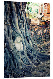 Tableau en plexi-alu Tête d&#039;Ayutthaya