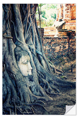 Sticker mural Tête d'Ayutthaya