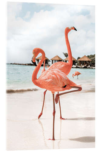 Obraz na szkle akrylowym Flamingo's On Aruba Island