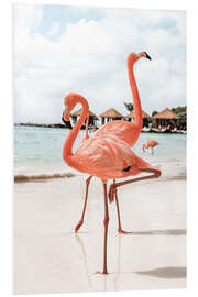 Foam board print Flamingo's On Aruba Island