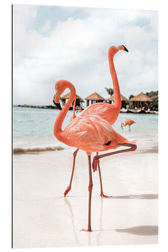 Galleritryk Flamingo's On Aruba Island