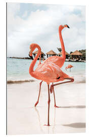 Gallery print Flamingo&#039;s On Aruba Island