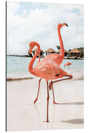 Magnettafel Flamingos auf der Insel Aruba