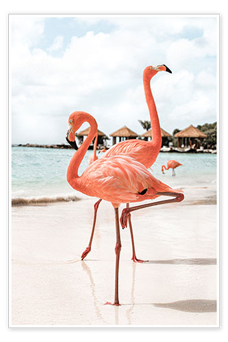 Póster Flamingo's en la isla de Aruba