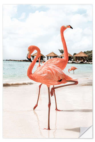 Naklejka na ścianę Flamingo's On Aruba Island