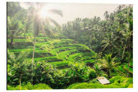 Magnettafel Tegalalang