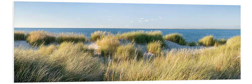 Tableau en PVC Panorama paysage de dunes