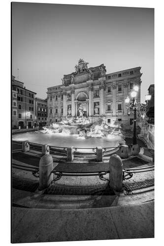 Aluminium print Trevi fountain