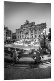 Galleritryk Trevi fountain