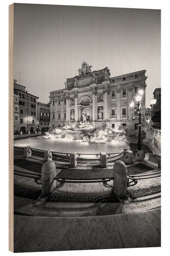 Puutaulu Trevi fountain